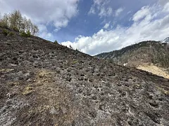 490104176_1080697740770439_8398316599164968757_n.jpg