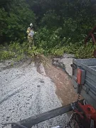 ae984c3f0a03454093dcfdba73b1d3d5.jpg